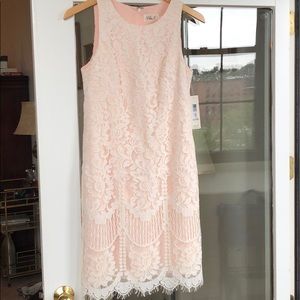 NWT Blush and White Lace Dress from Eliza J size 6